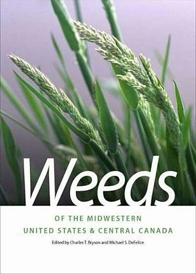 Weeds of the Midwestern United States & Central Canada, Paperback