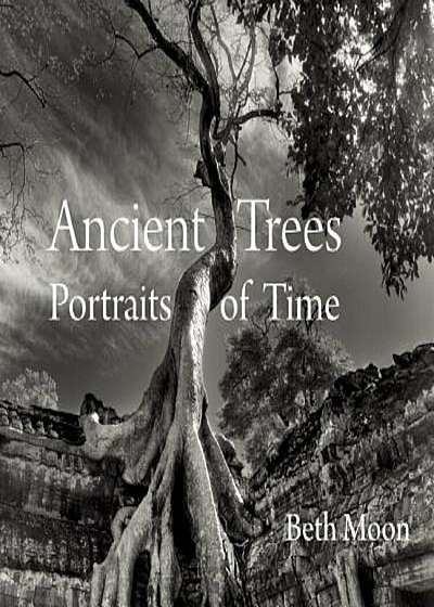 Ancient Trees: Portraits of Time, Hardcover