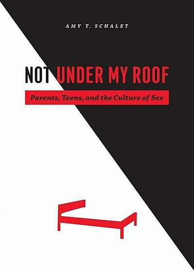 Not Under My Roof: Parents, Teens, and the Culture of Sex, Paperback