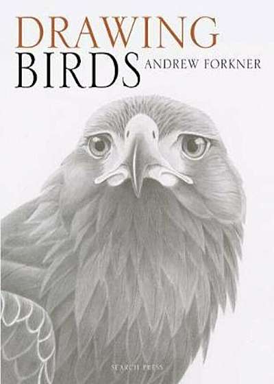Drawing Birds, Paperback