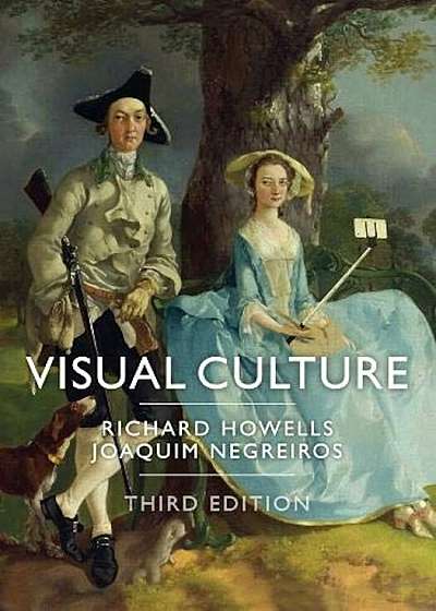 Visual Culture, Paperback