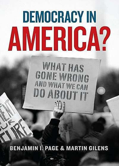 Democracy in America': What Has Gone Wrong and What We Can Do about It, Hardcover