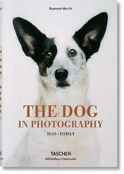 Dog in Photography 1839-Today, Hardcover