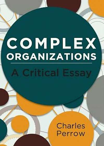 Complex Organizations: A Critical Essay, Paperback