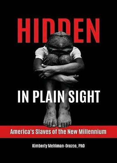 Hidden in Plain Sight: America's Slaves of the New Millennium, Hardcover