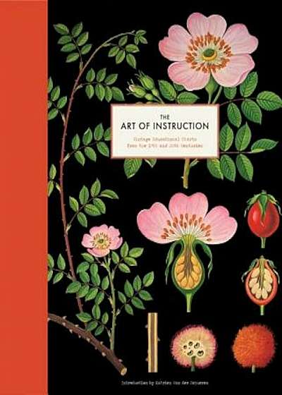 The Art of Instruction: Vintage Educational Charts from the 19th and 20th Centuries, Hardcover