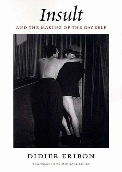 Insult and the Making of the Gay Self, Paperback