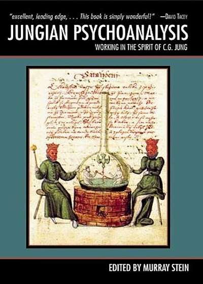 Jungian Psychoanalysis: Working in the Spirit of C.G. Jung, Paperback
