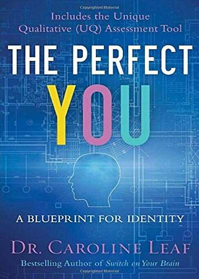 The Perfect You: A Blueprint for Identity, Hardcover