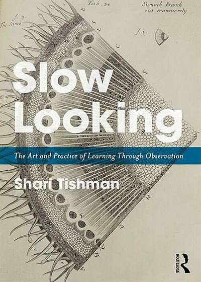Slow Looking: The Art and Practice of Learning Through Observation, Paperback
