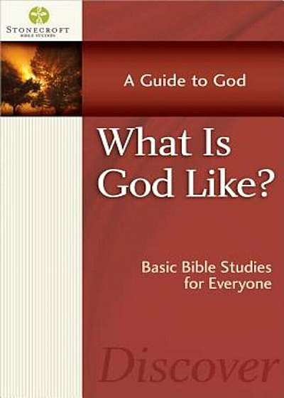What Is God Like', Paperback