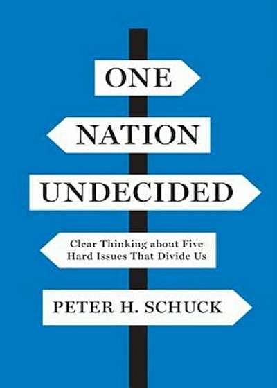 One Nation Undecided: Clear Thinking about Five Hard Issues That Divide Us, Hardcover