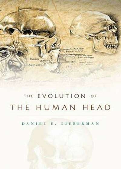 Evolution of the Human Head, Hardcover