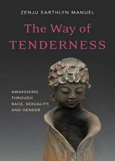 The Way of Tenderness: Awakening Through Race, Sexuality, and Gender, Paperback