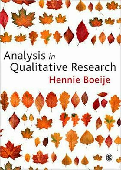 Analysis in Qualitative Research, Paperback