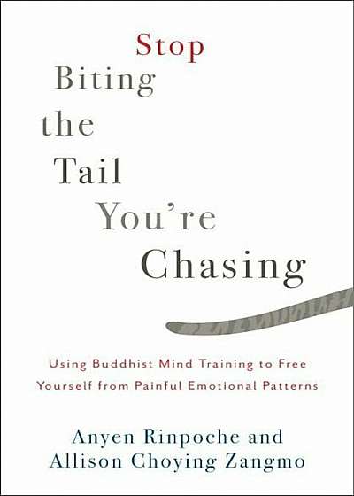 Stop Biting the Tail You're Chasing: Using Buddhist Mind Training to Free Yourself from Painful Emotional Patterns, Paperback