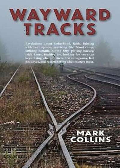 Wayward Tracks: Revelations about Fatherhood, Faith, Fighting with Your Spouse, Surviving Girl Scout Camp, Striking Bottom, Hitting Fi, Paperback