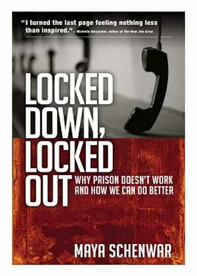 Locked Down, Locked Out: Why Prison Doesn't Work and How We Can Do Better, Paperback