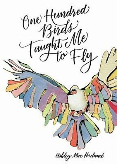 One Hundred Birds Taught Me to Fly, Paperback
