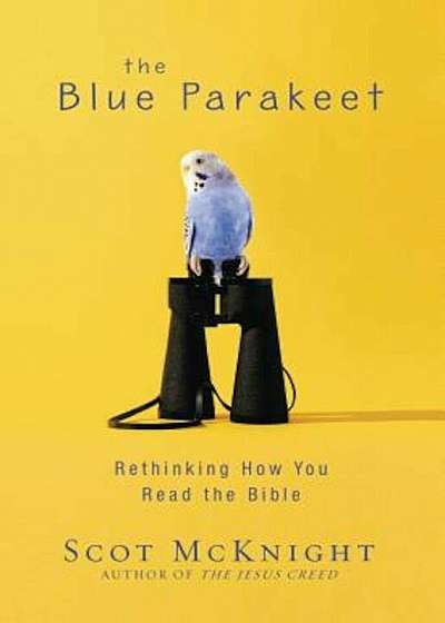 The Blue Parakeet: Rethinking How You Read the Bible, Paperback