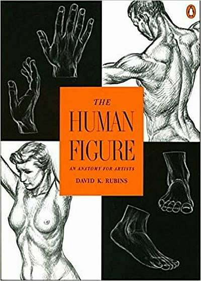 The Human Figure: An Anatomy for Artists, Paperback