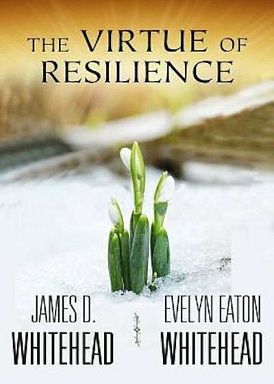 The Virtue of Resilience, Paperback