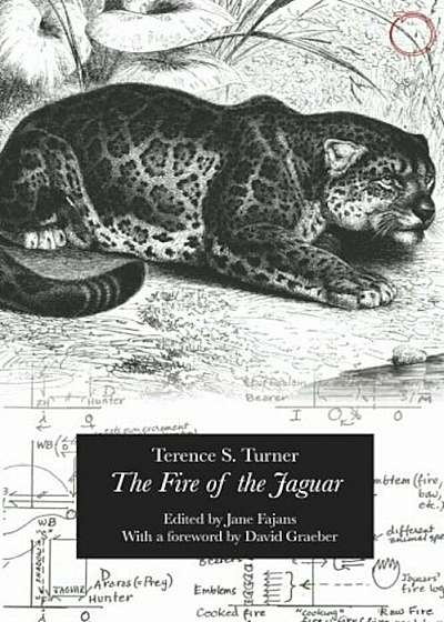 The Fire of the Jaguar, Paperback