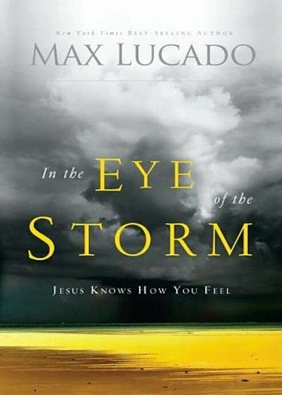In the Eye of the Storm: Jesus Knows How You Feel, Paperback