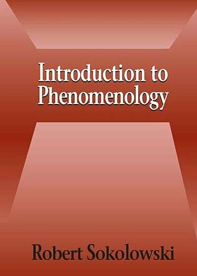 Introduction to Phenomenology, Paperback