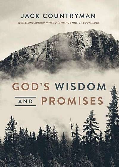God's Wisdom and Promises, Hardcover