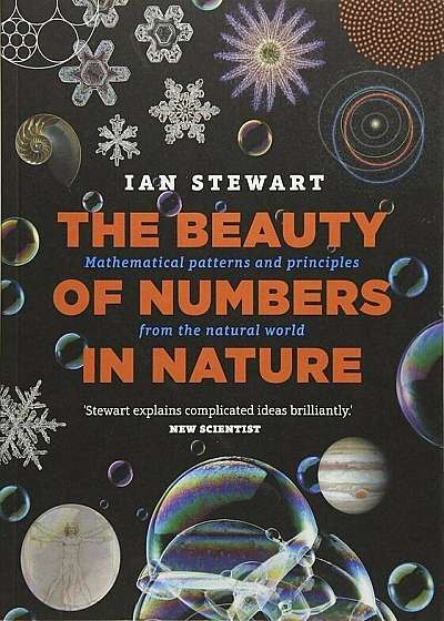 The Beauty of Numbers in Nature: Mathematical patterns and principles from the natural world