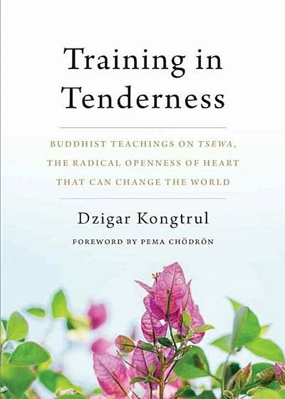 Training in Tenderness: Buddhist Teachings on Tsewa, the Radical Openness of Heart That Can Change the World, Paperback
