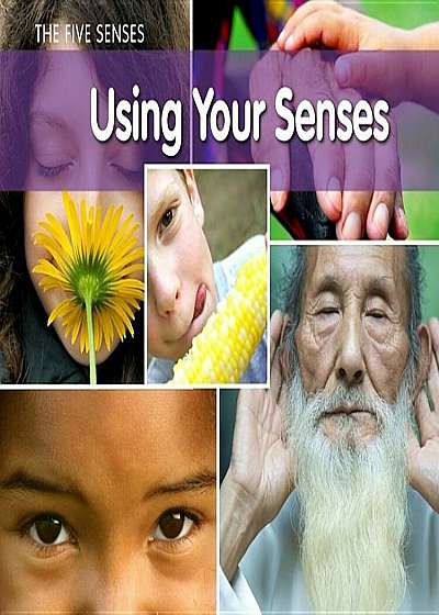 Using Your Senses, Paperback