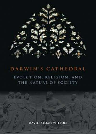 Darwin's Cathedral: Evolution, Religion, and the Nature of Society, Paperback