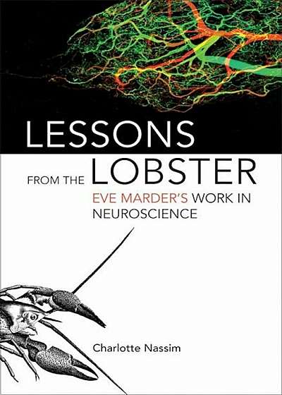 Lessons from the Lobster: Eve Marder's Work in Neuroscience, Hardcover