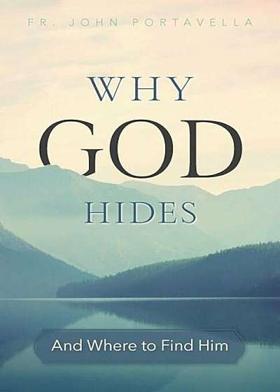 Why God Hides: And Where to Find Him, Paperback