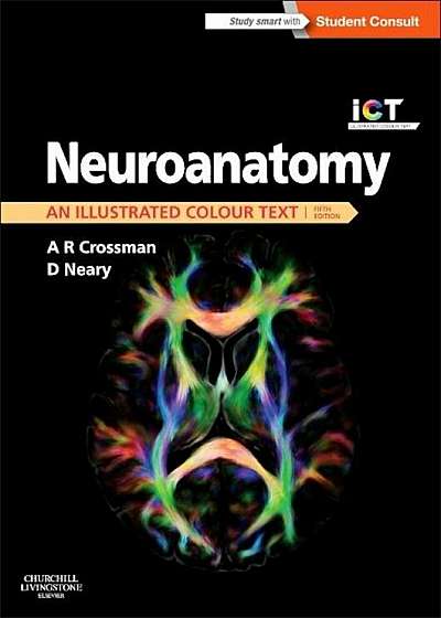 Neuroanatomy: An Illustrated Colour Text, Paperback