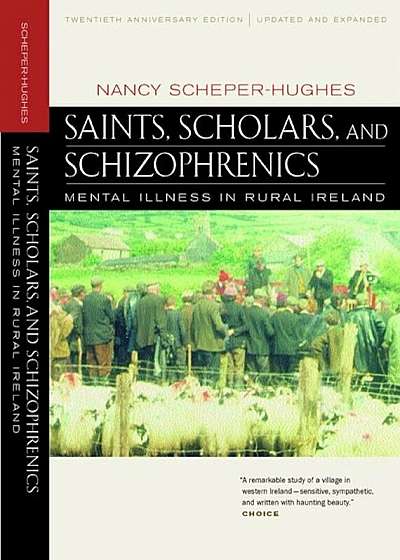 Saints, Scholars, and Schizophrenics: Mental Illness, Paperback