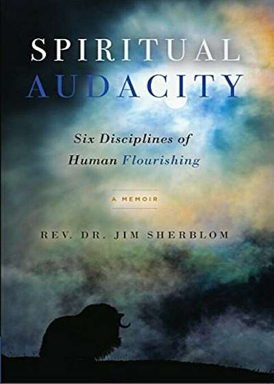 Spiritual Audacity: Six Disciplines of Human Flourishing, Paperback
