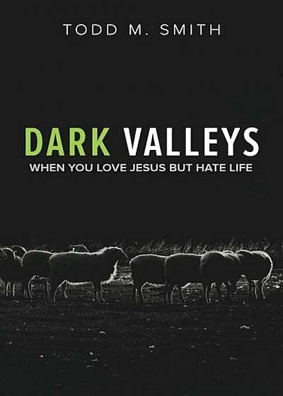 Dark Valleys: When You Love Jesus But Hate Life, Paperback