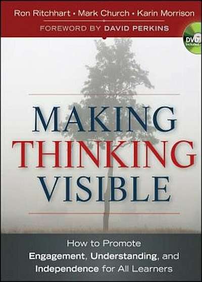 Making Thinking Visible, Paperback