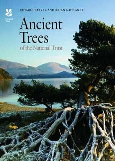 Ancient Trees of the National Trust