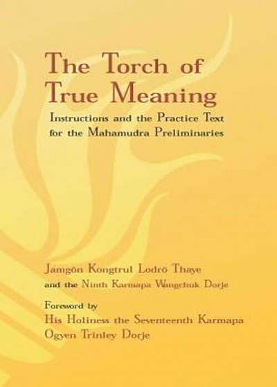 Torch of True Meaning: Instructions and the Practice for the Mahamudra Preliminaries, Paperback