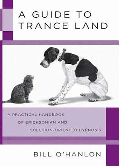 A Guide to Trance Land: A Practical Handbook of Ericksonian and Solution-Oriented Hypnosis, Paperback