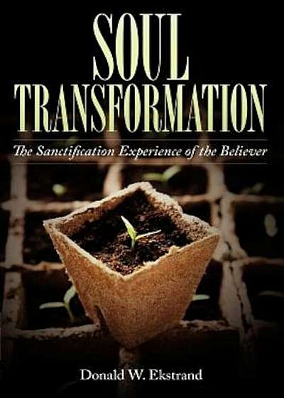 Soul Transformation, Paperback