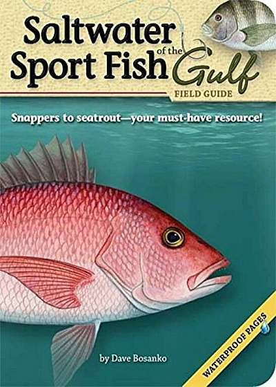 Saltwater Sport Fish of the Gulf Field Guide, Paperback