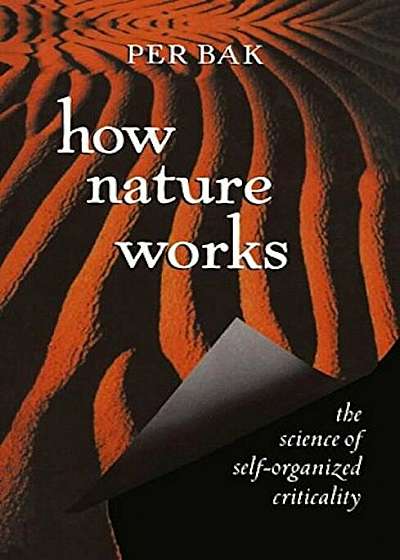 How Nature Works: The Science of Self-Organized Criticality, Hardcover