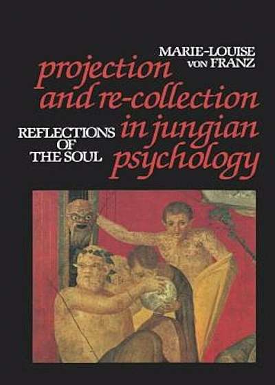 Projection and Re-Collection in Jungian Psychology: Reflections of the Soul, Paperback