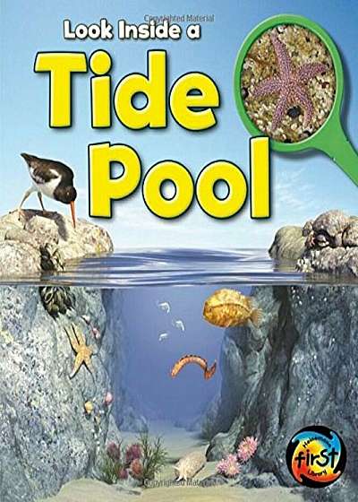 Tide Pool: Look Inside, Paperback