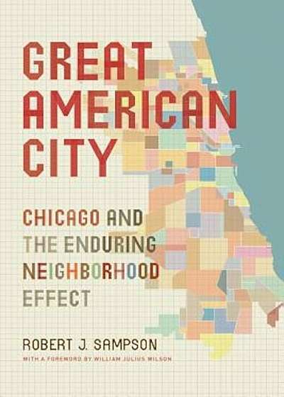 Great American City: Chicago and the Enduring Neighborhood Effect, Paperback